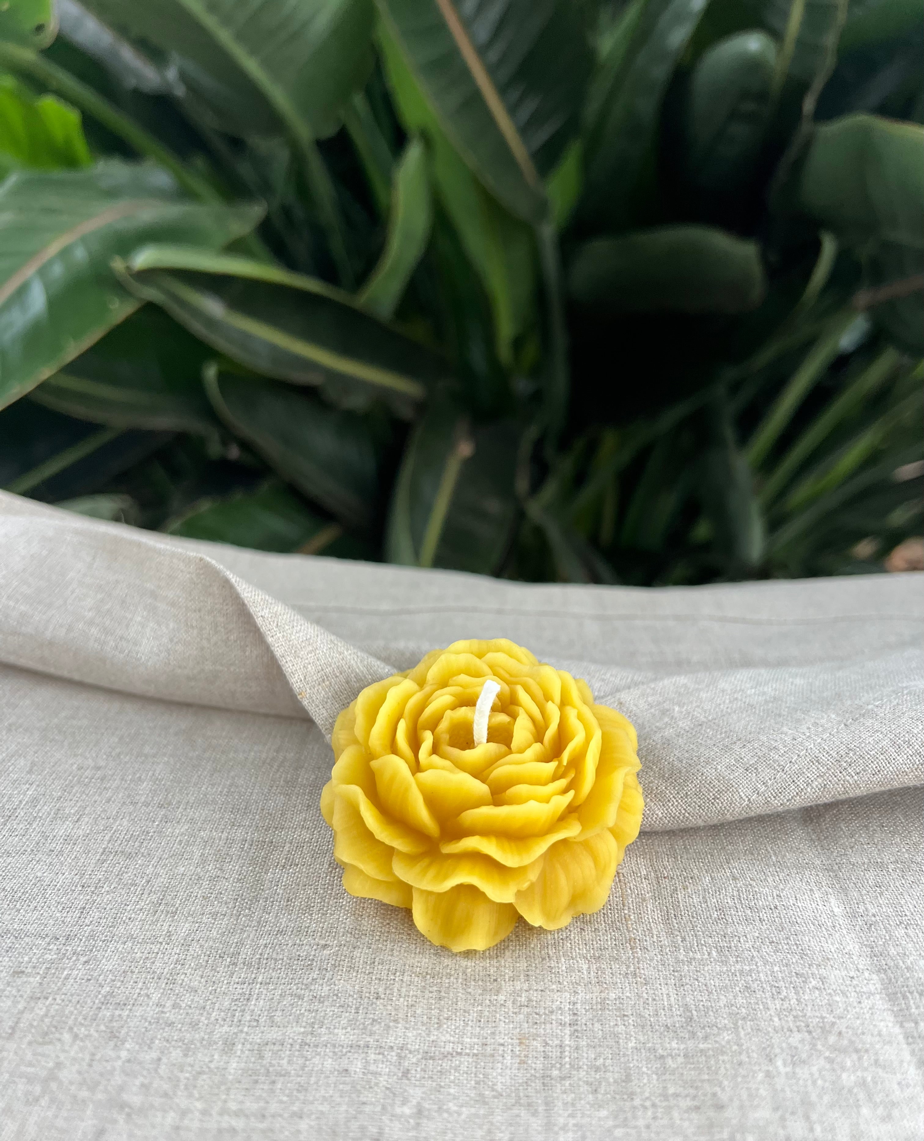 Golden Bloom