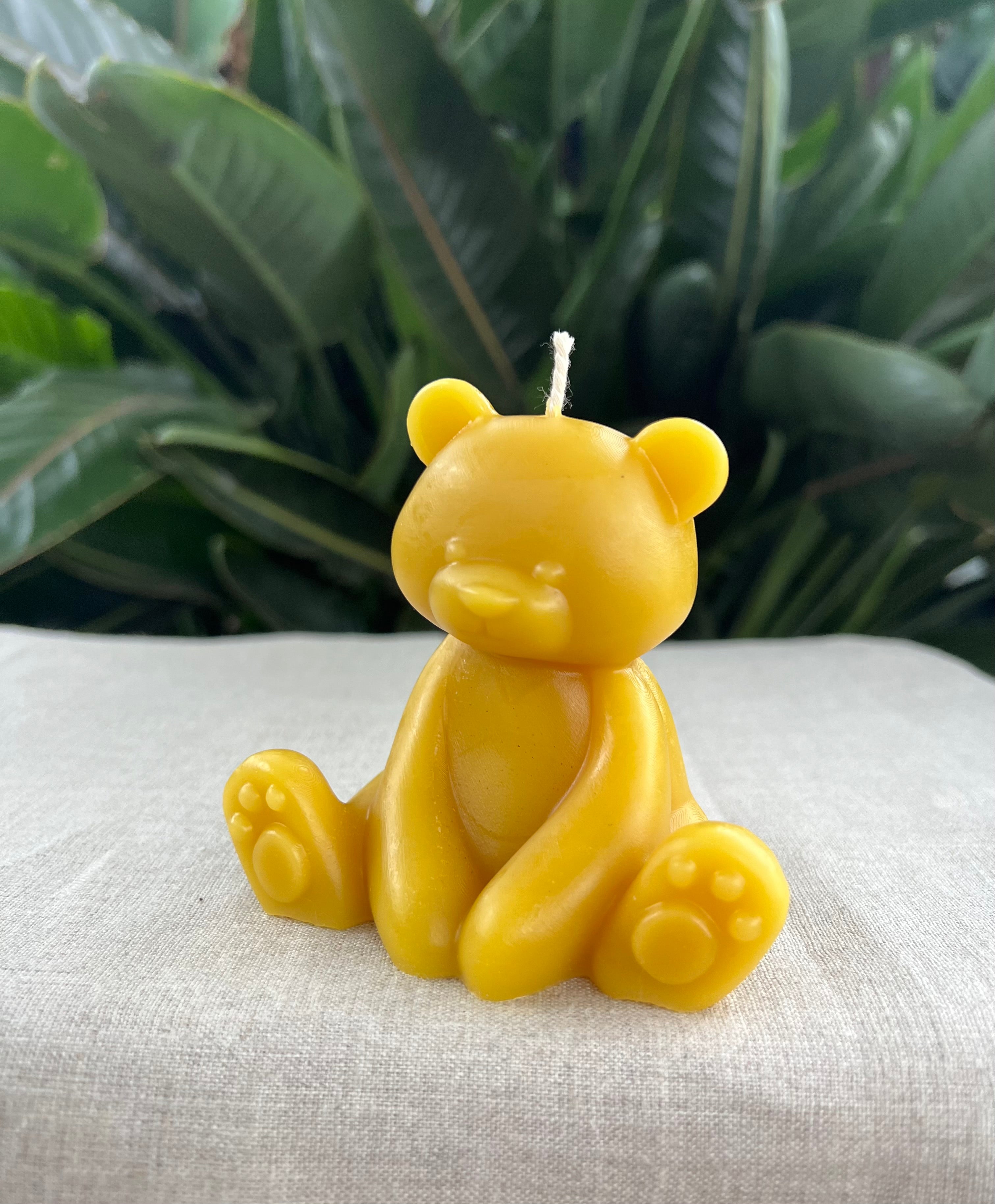 Teddy Bear